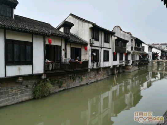 逃离橙园